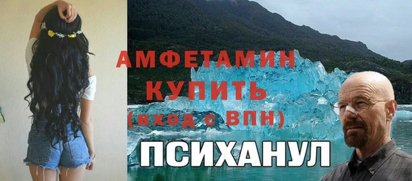 гидра Михайловка