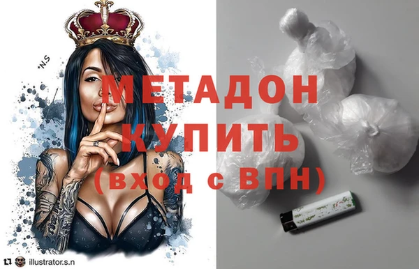 гидра Михайловка