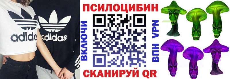 блэк спрут сайт Струнино Псилоцибиновые грибы Psilocybine cubensis