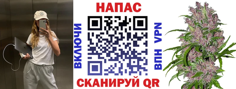 Бошки Шишки ГИДРОПОН  Струнино 